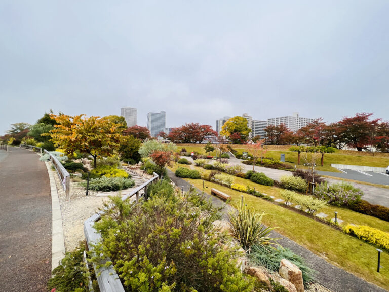 かつては川だった、草津川跡地公園を散歩。